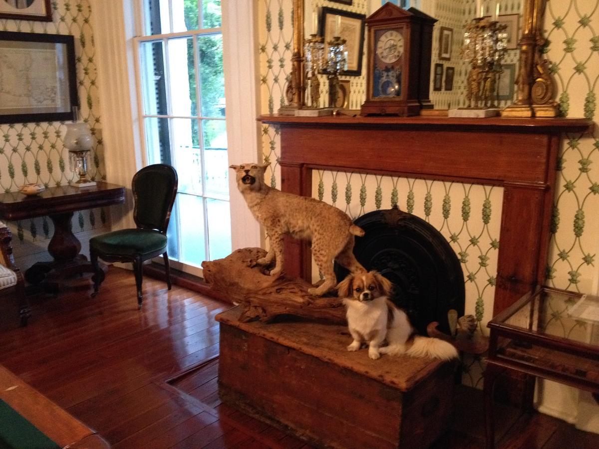Stone House Musical B&B Natchez Extérieur photo