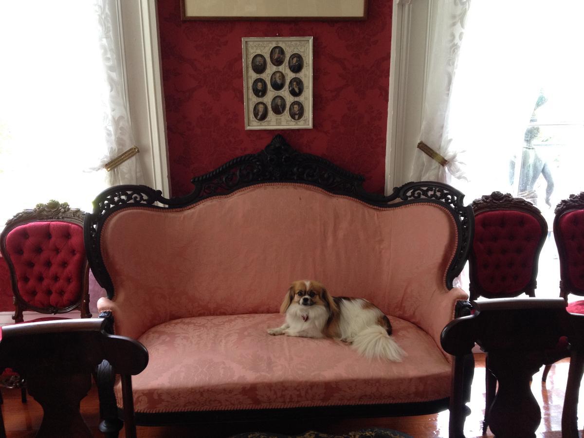 Stone House Musical B&B Natchez Extérieur photo